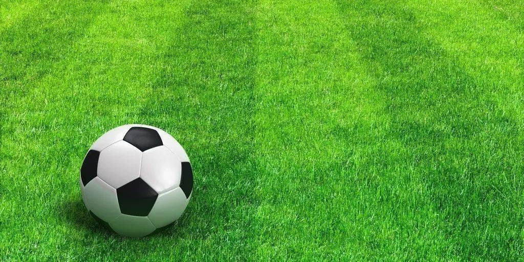 足球预测应用多平台下载展示